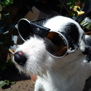 Profile Picture of Simon Eastwood (@worthysyman) on Myspace