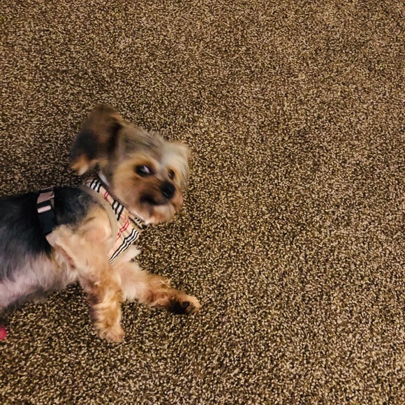 Profile Picture of Jasmine Hines (@missj4iloveyou) on Poshmark