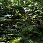 Profile Picture of Jacob Andrew Long (@moneyjake53) on Instagram