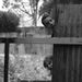 Profile Picture of Joel Ridley (@joel0980) on Pinterest