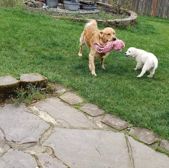 Profile Picture of Susan Tanski (@stski44) on Poshmark