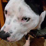 Fran Maguire - Instagram Profile Picture of Fran Maguire (@francismaguire) on Instagram