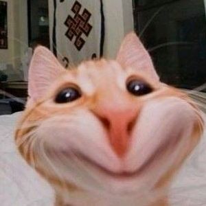 Profile Picture of Twyla (@twyla.47) on Tiktok