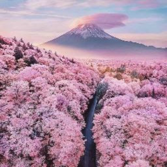 Profile Picture of Nako Chan (@nako_chan) on Poshmark