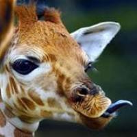 Profile Picture of Jennie Mcroberts (@jennie-mcroberts) on Quora