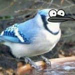 Profile Picture of Michael Johnson (@grodyyyy_boi2.0) on Instagram