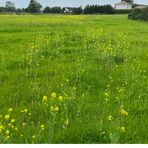 Profile Picture of Catherine Harte (@catherine.harte.7902) on Facebook