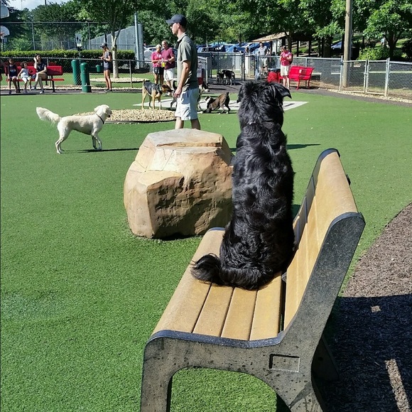 Profile Picture of Samantha Feibus (@s_feibus) on Poshmark