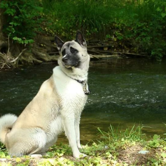 Profile Picture of Diane Schindhelm (@jdks1078) on Poshmark