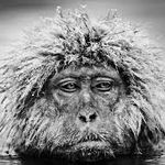 Profile Picture of mulhern.mark (@mulhern.mark1) on Instagram
