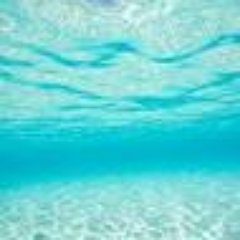 Profile Picture of Jacqueline Crouch (@Jackiec7688) on Twitter