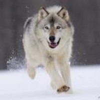 Profile Picture of Dawn Mcrae (@dawn-mcrae) on Quora