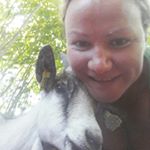 Profile Picture of Ingvill Bruflot Kvammen (@sauebondevedfjorden) on Instagram