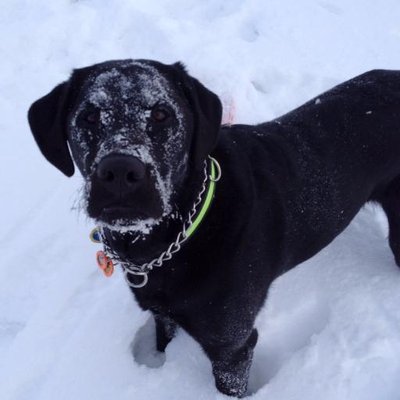 Profile Picture of Jeff Garofalo (@jeffgarofalo1) on Twitter