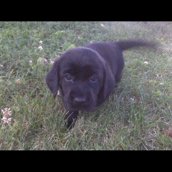 Profile Picture of Sierra Tillou (@sierra1519) on Poshmark