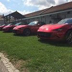 Profile Picture of Richard Rieser (@20einstein) on Instagram
