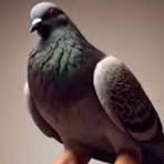 Profile Picture of Alexander Szewczuk (@Alexander-Szewczuk) on Facebook