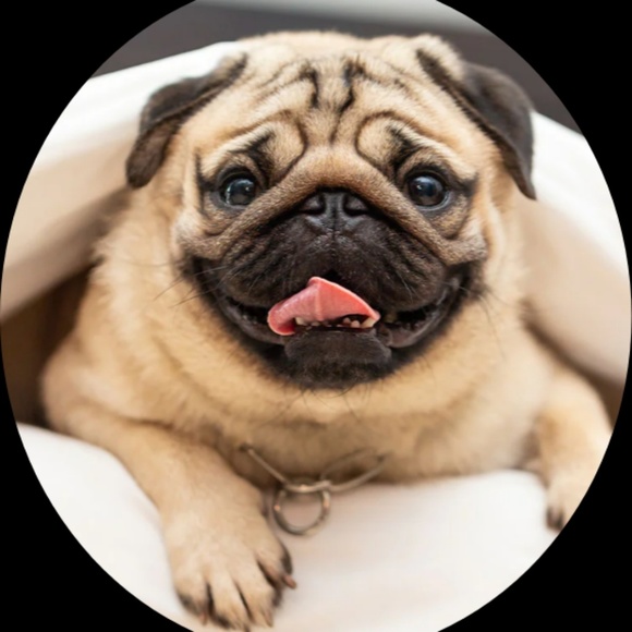 Profile Picture of Aaron Aardal (@aardal22) on Poshmark