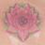 Profile Picture of Caroline Nguyen (@cowgirlcaroline) on Flickr