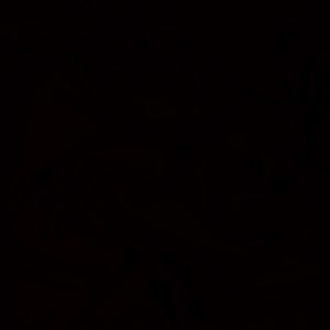 Profile Picture of Zayn Hussain (@zaynooo) on Myspace