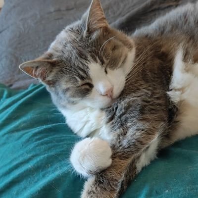 Profile Picture of Flo It's me (@FeretFlorence) on Twitter