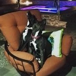 Profile Picture of Lisa (@lisa_consolimunro) on Instagram