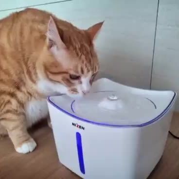 Profile Picture of hyunhee (@hyunhee2477) on Tiktok