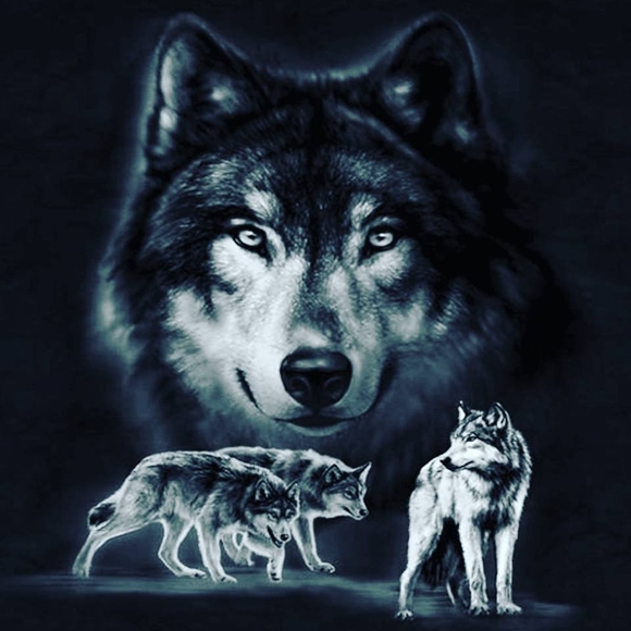 Profile Picture of Greg Nendick (@coyotesdad) on Poshmark