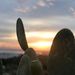 Profile Picture of David Schnee (@davidschnee) on Pinterest