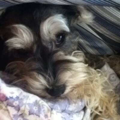Profile Picture of Addison (@addison_roy) on Twitter