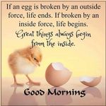 Profile Picture of Sharee Johnson (@shareejohnsonn49) on Instagram