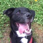 Profile Picture of sweet baby ray wolcott (@sweetbabyray11) on Instagram