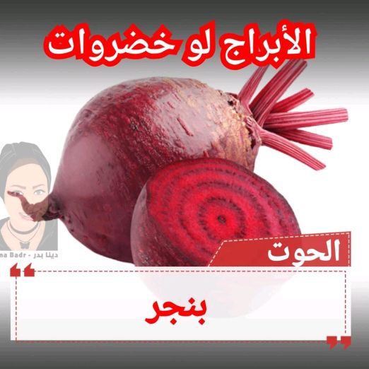 Profile Picture of Ahmed Moniem (@moniem2020) on Tiktok