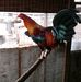 Profile Picture of Adolfo Manzo (@adolfo.manzo.92) on Facebook