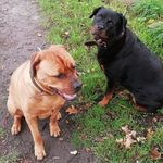 Profile Picture of megan (@meganmellowdjaika) on Instagram