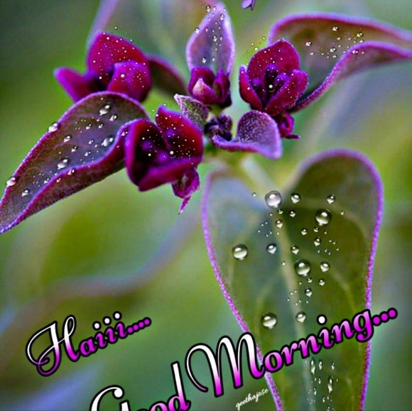 Sumina Sumina - Poshmark Profile Picture of Sumina Sumina (@suminasumina) on Poshmark