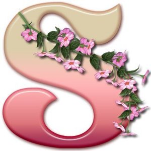 Profile Picture of Sevim Er (@csevimer) on Myspace