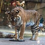 Profile Picture of Merrill Allen (@merrill_allen) on Instagram