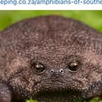 Profile Picture of Janet Elson (@janet.elson.71) on Facebook