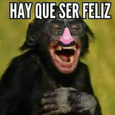 Profile Picture of Daniel Chicas (@tormenta012) on Twitter