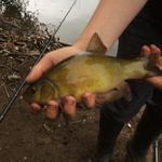 Declan Bennett - Instagram Profile Picture of Declan Bennett (@declan.bennett.716) on Instagram