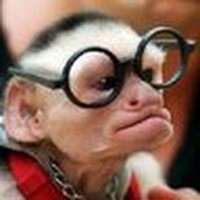 Profile Picture of Nicholas Guay-ross (@nicholas-guay-ross) on Quora