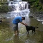 Profile Picture of Daniel D. DePasquale (@pseudonychef) on Instagram