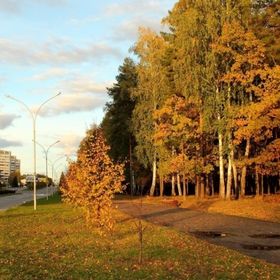 Profile Picture of Earnshaw Patrick (@earnshawpatrick) on Pinterest