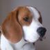 Profile Picture of Rebus (@RebusTheBeagle) on Twitter