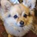 Profile Picture of Sandra Felts (@sandra.felts.35) on Facebook