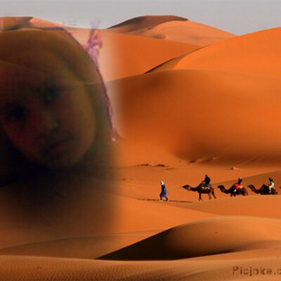 Profile Picture of Michelle  Forero (@MICHELLEFORERO) on Twitter