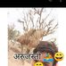 Profile Picture of Manis Aachhamee (@manis.aachhamee) on Facebook