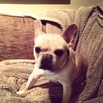 Profile Picture of Larry Wilder (@larrywilder3982) on Instagram