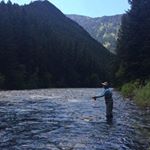 Profile Picture of Richard Stoneman (@stoneman.richard) on Instagram